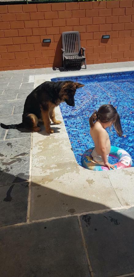 Raco De Lis Villa La Torre de Claramunt Dış mekan fotoğraf